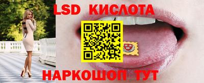 гашик Кунгур