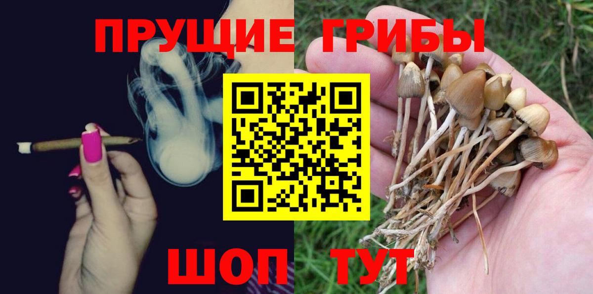 Галлюциногенные грибы GOLDEN TEACHER Азов